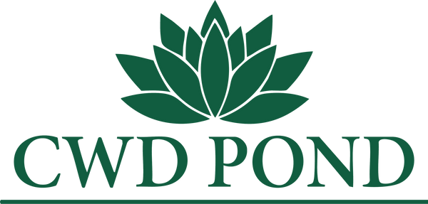 CWD Pond
